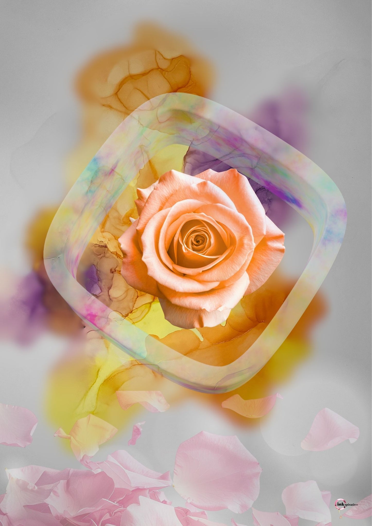 Die Rose im Lichtfenster 0001