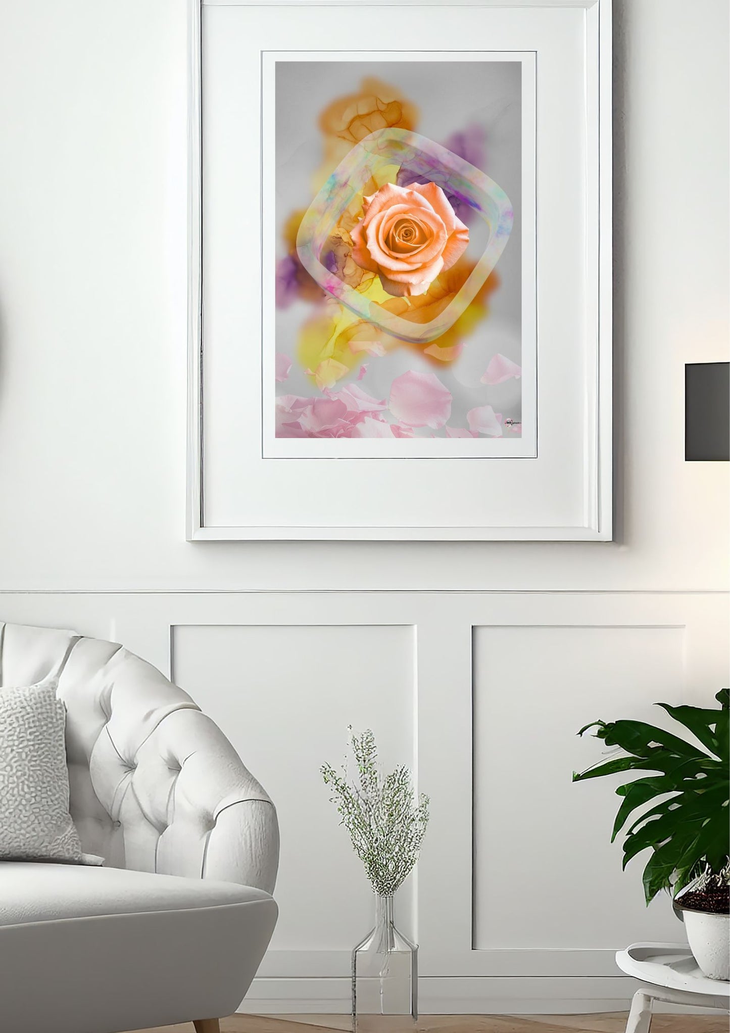 Die Rose im Lichtfenster 0001