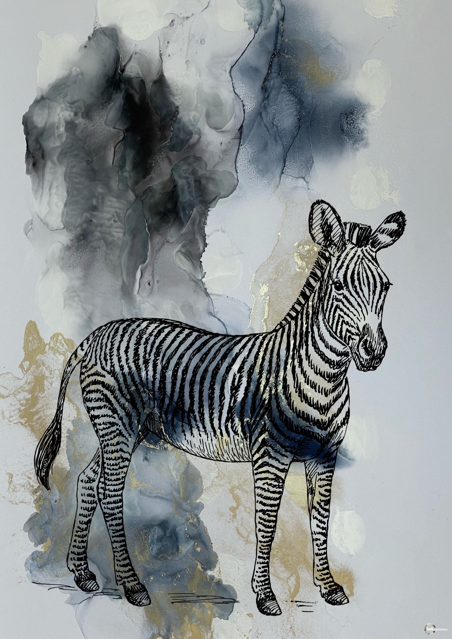 Zebra 0003